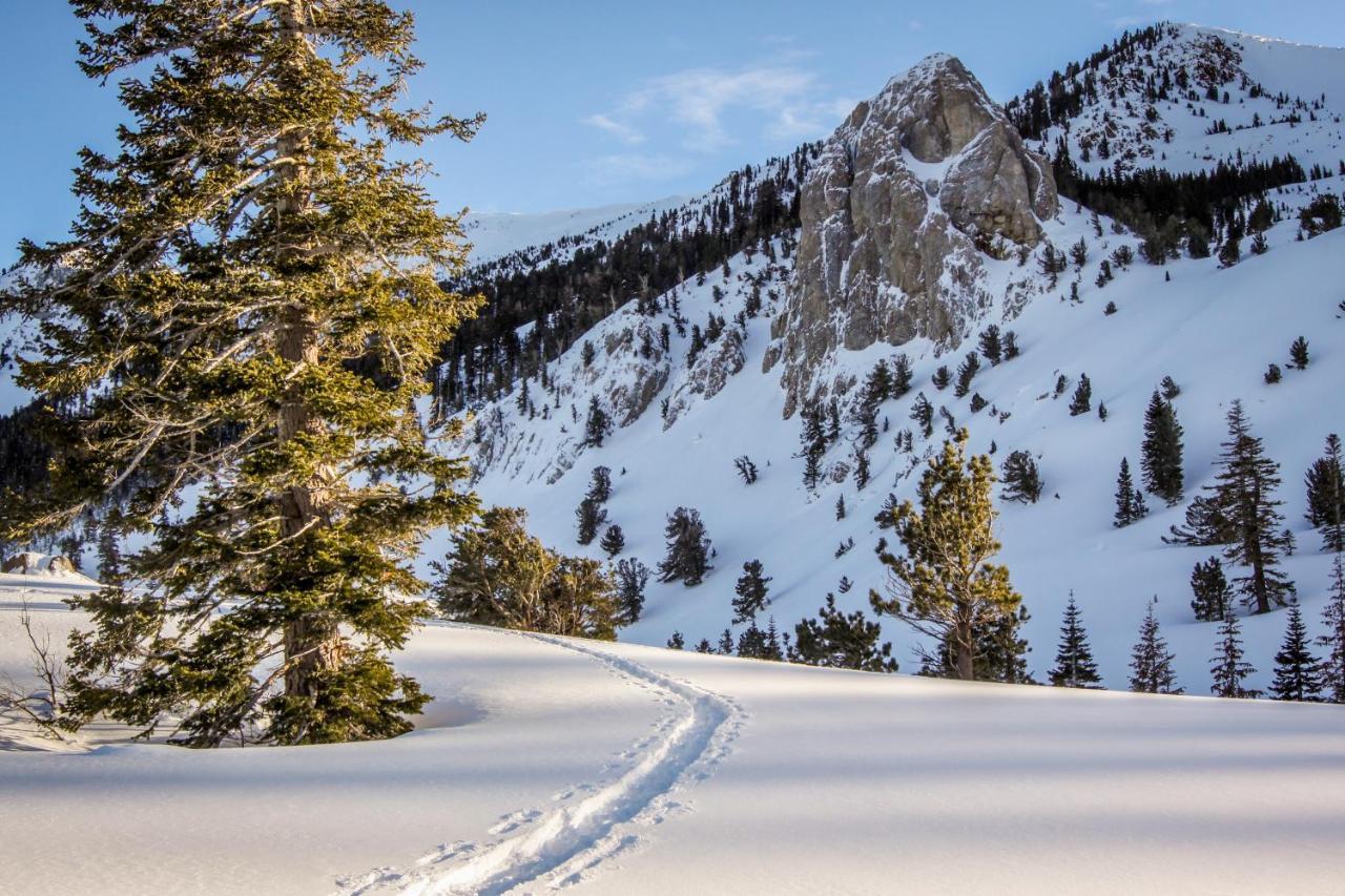 Woodlands 34 Apartment Mammoth Lakes Luaran gambar